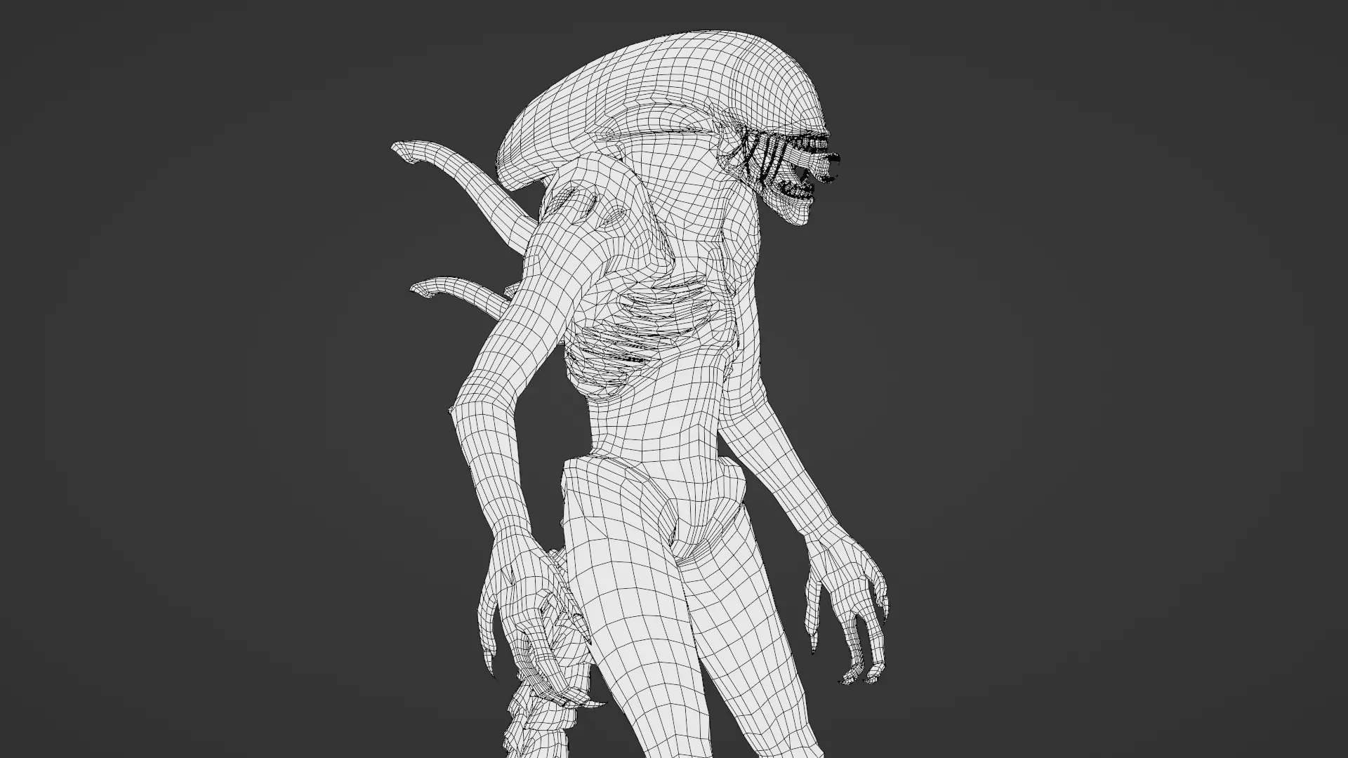 Xenomorph 3D Model Sci-Fi Horror Rigged Game-Ready Low-poly 3D model_24