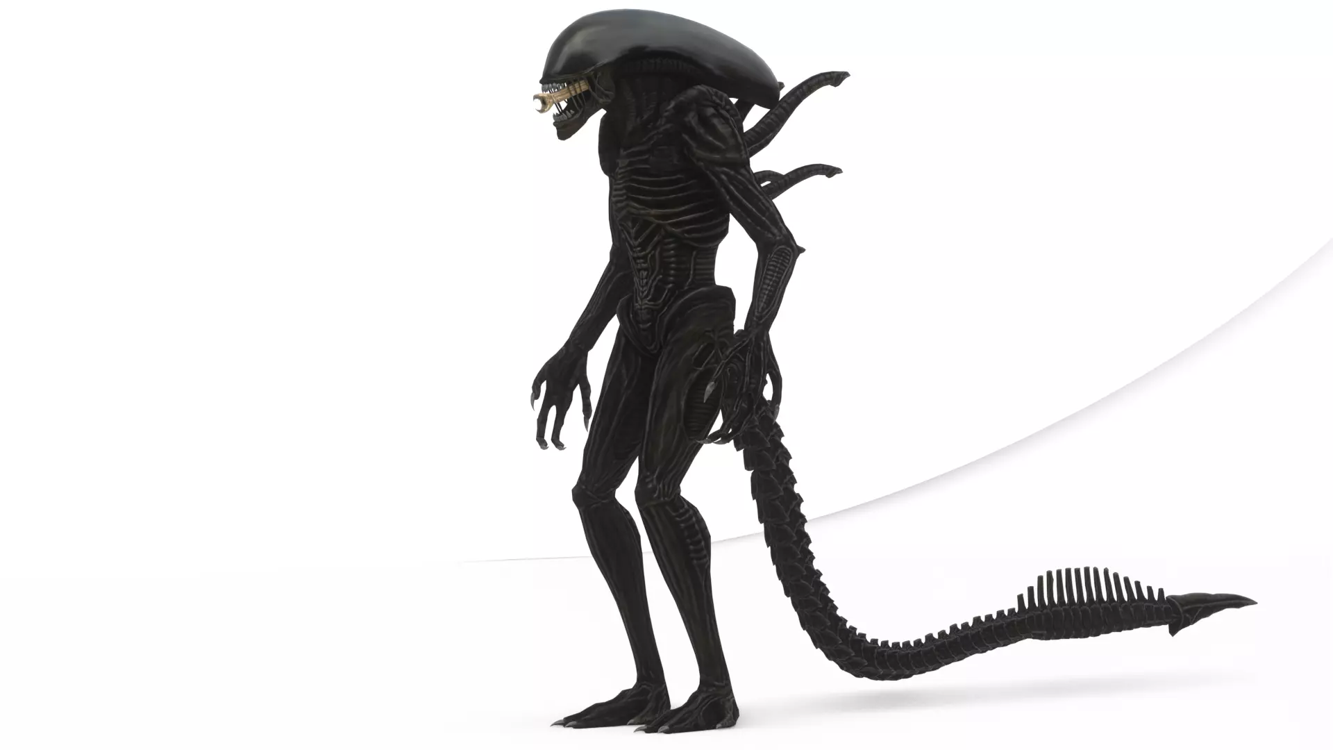 Xenomorph 3D Model Sci-Fi Horror Rigged Game-Ready Low-poly 3D model_6