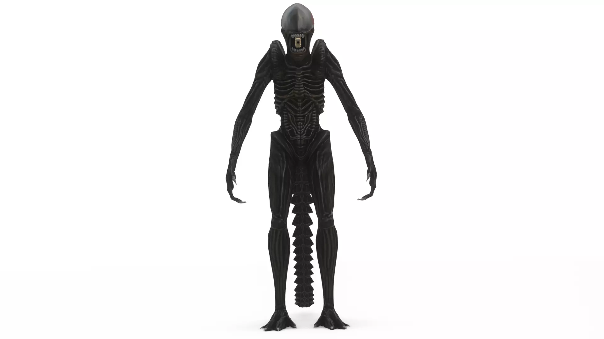 Xenomorph 3D Model Sci-Fi Horror Rigged Game-Ready Low-poly 3D model_5