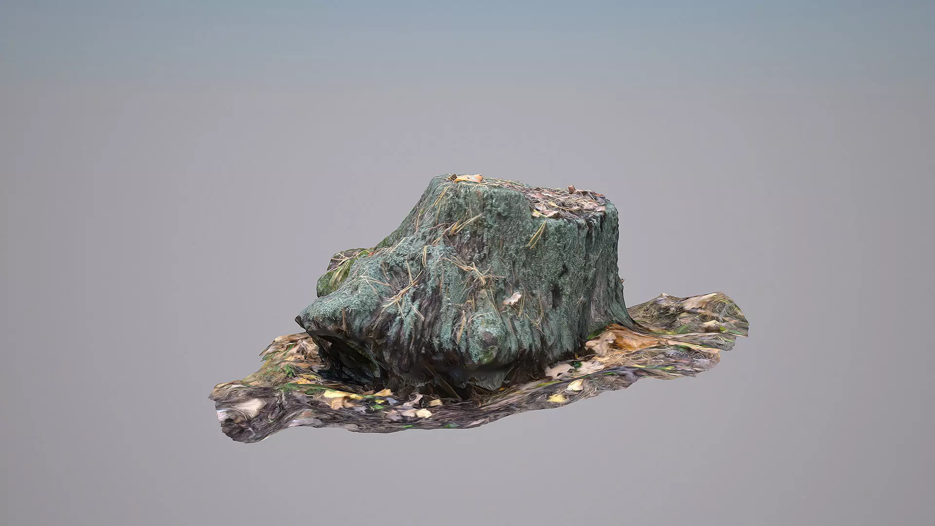 Old Stump 3D model