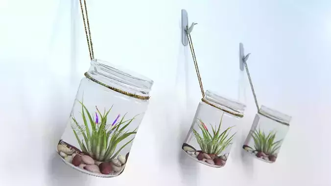 Air Plant Wall Decor 3D model
