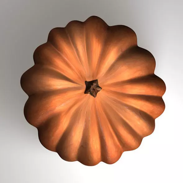 Realistic Ribbed Pumpkin 3D Model 3D model_1