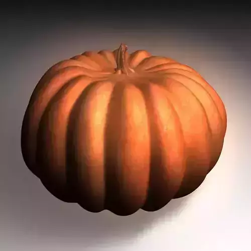 Realistic  Ribbed Pumpkin 3D Model