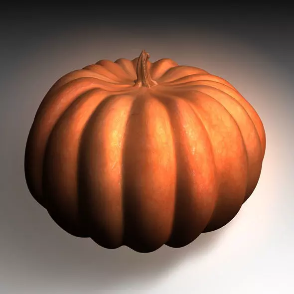 Realistic Ribbed Pumpkin 3D Model 3D model_0