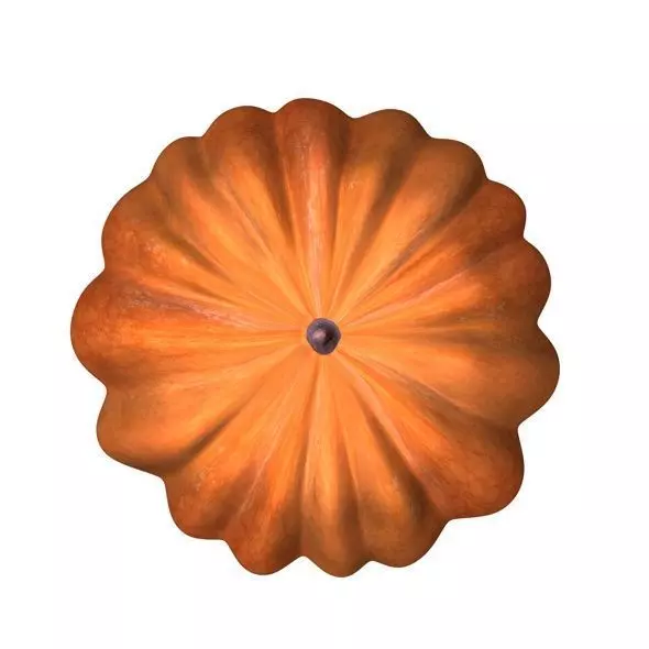 Realistic Ribbed Pumpkin 3D Model 3D model_2
