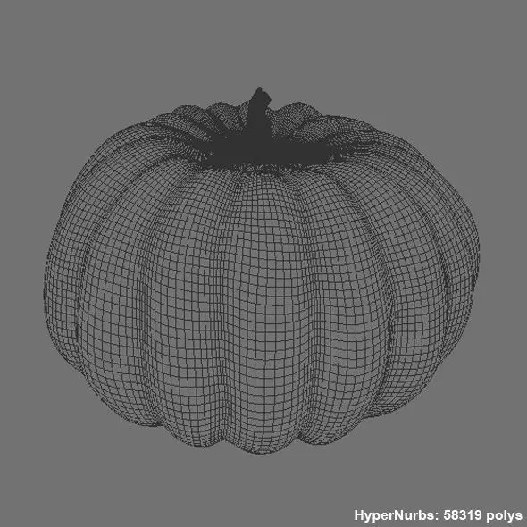 Realistic Ribbed Pumpkin 3D Model 3D model_4