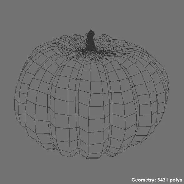 Realistic Ribbed Pumpkin 3D Model 3D model_3