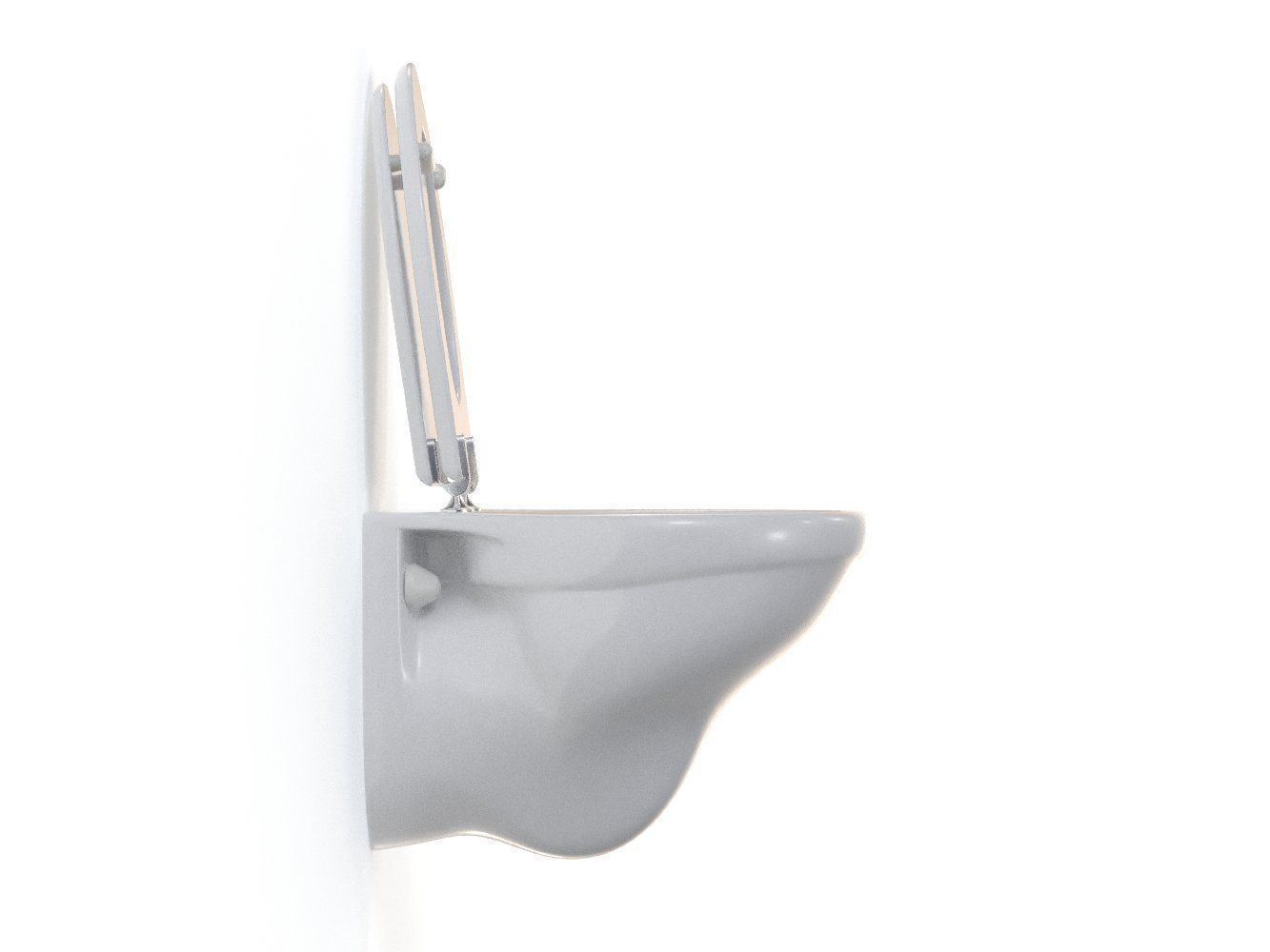 Compact Wall Mounted Toilet  3D model_9