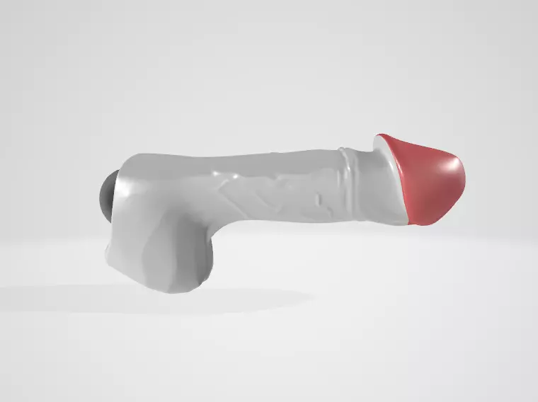 penis hard cut big glan  3D model_1