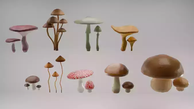 Forest mushrooms 