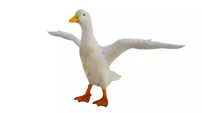 White Duck