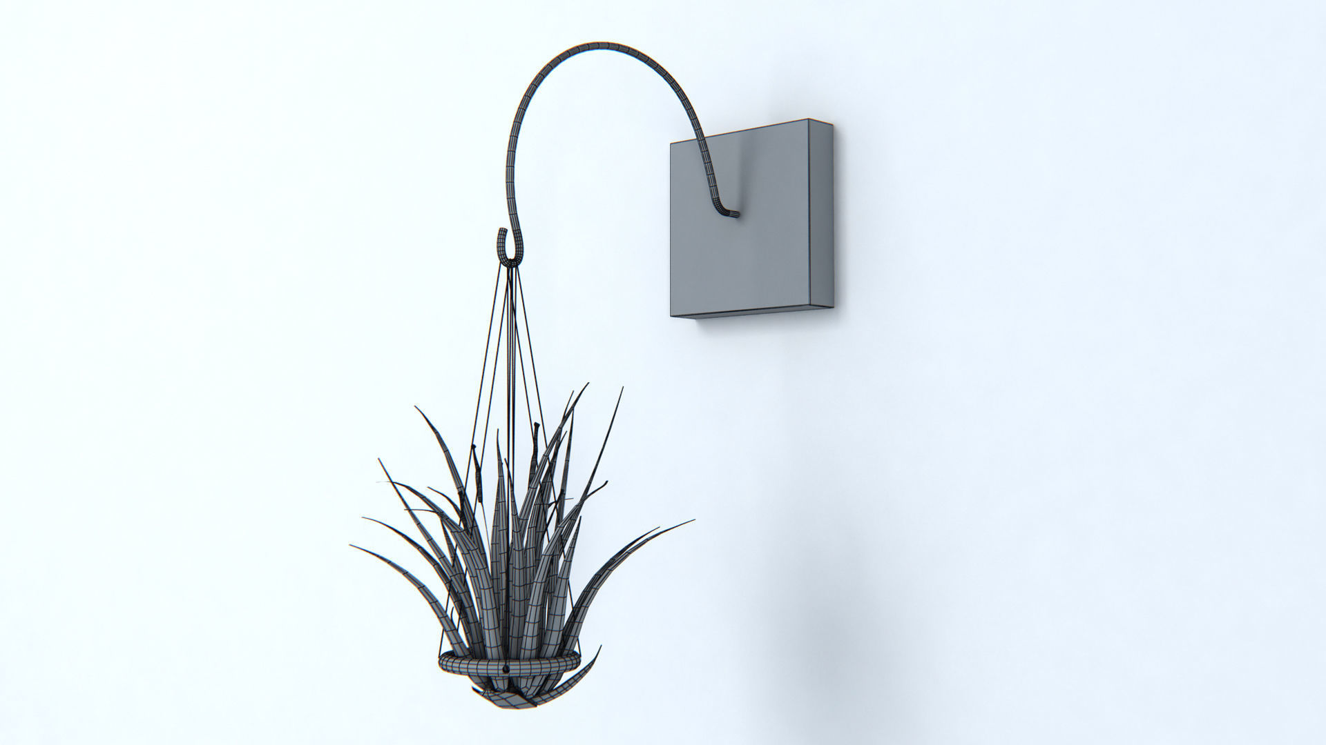 Air Plant Wall Decor 2 3D model_4