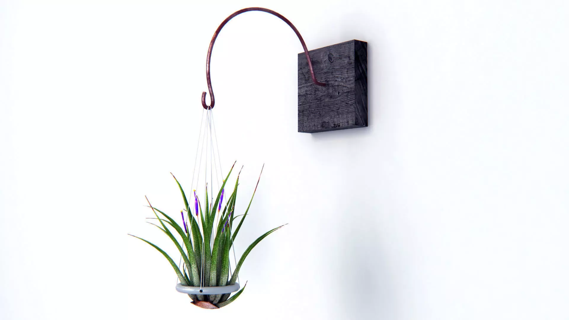 Air Plant Wall Decor 2 3D model_0