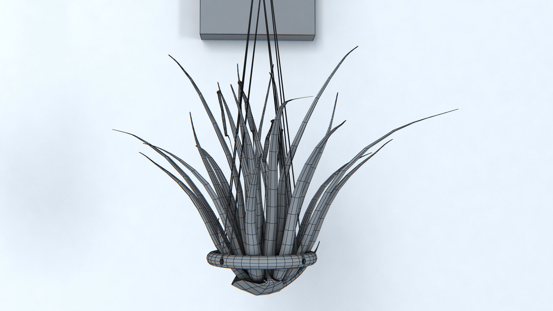 Air Plant Wall Decor 2 3D model_5