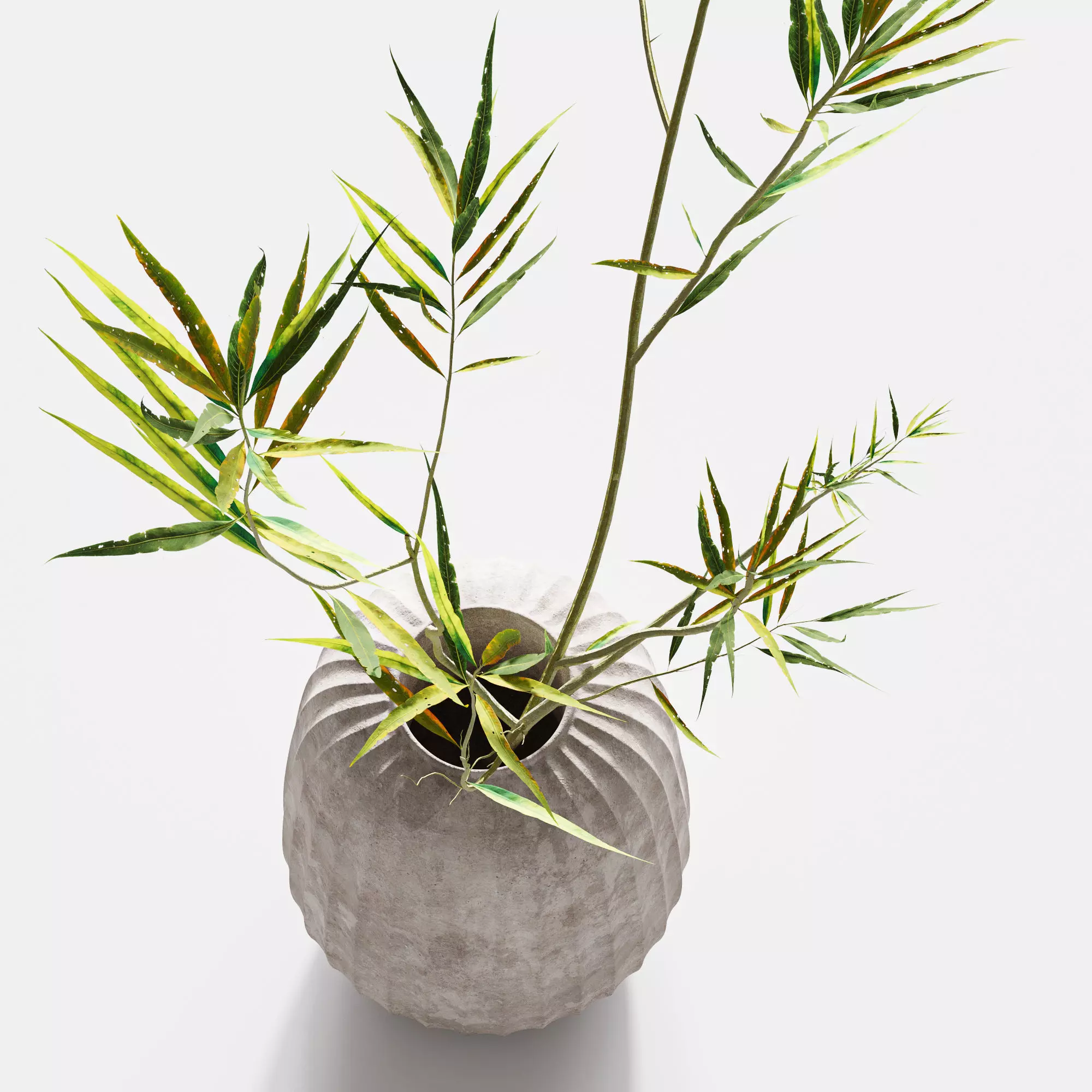 Bouquet43 3D model_2