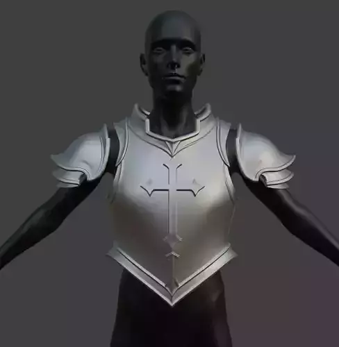 TEMPLAR ARMOR AND PAULDRONS