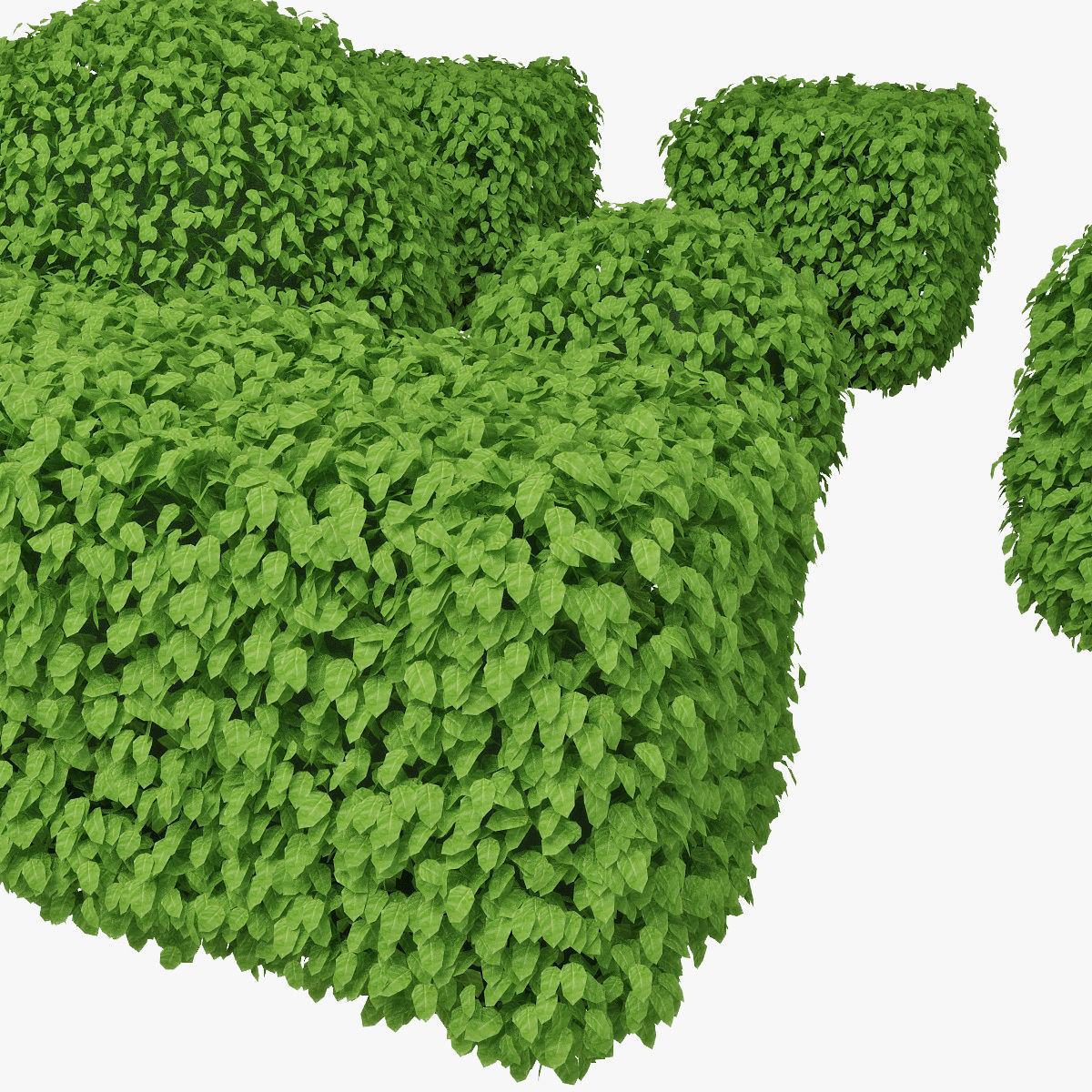 Hedge h60 set 3D model_4
