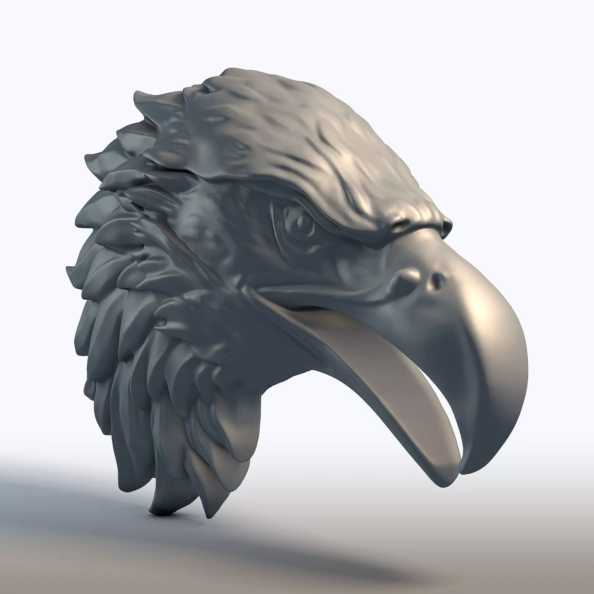 Eagle Head Sculpture Majestic Bird of Prey Bust  3D print model_6