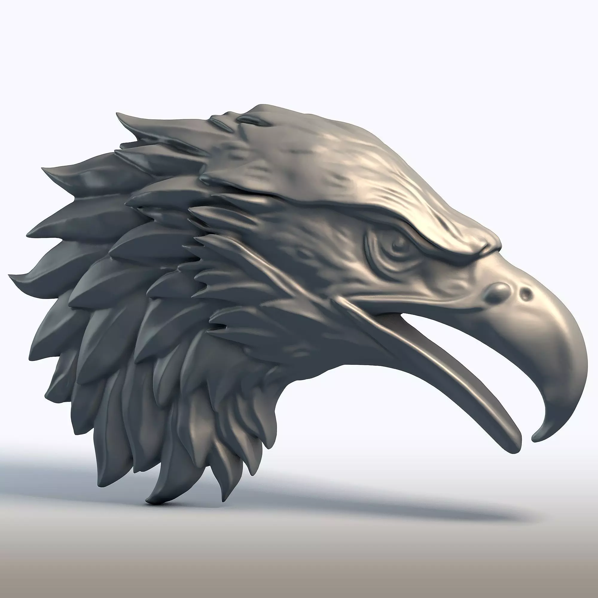 Eagle Head Sculpture Majestic Bird of Prey Bust  3D print model_5