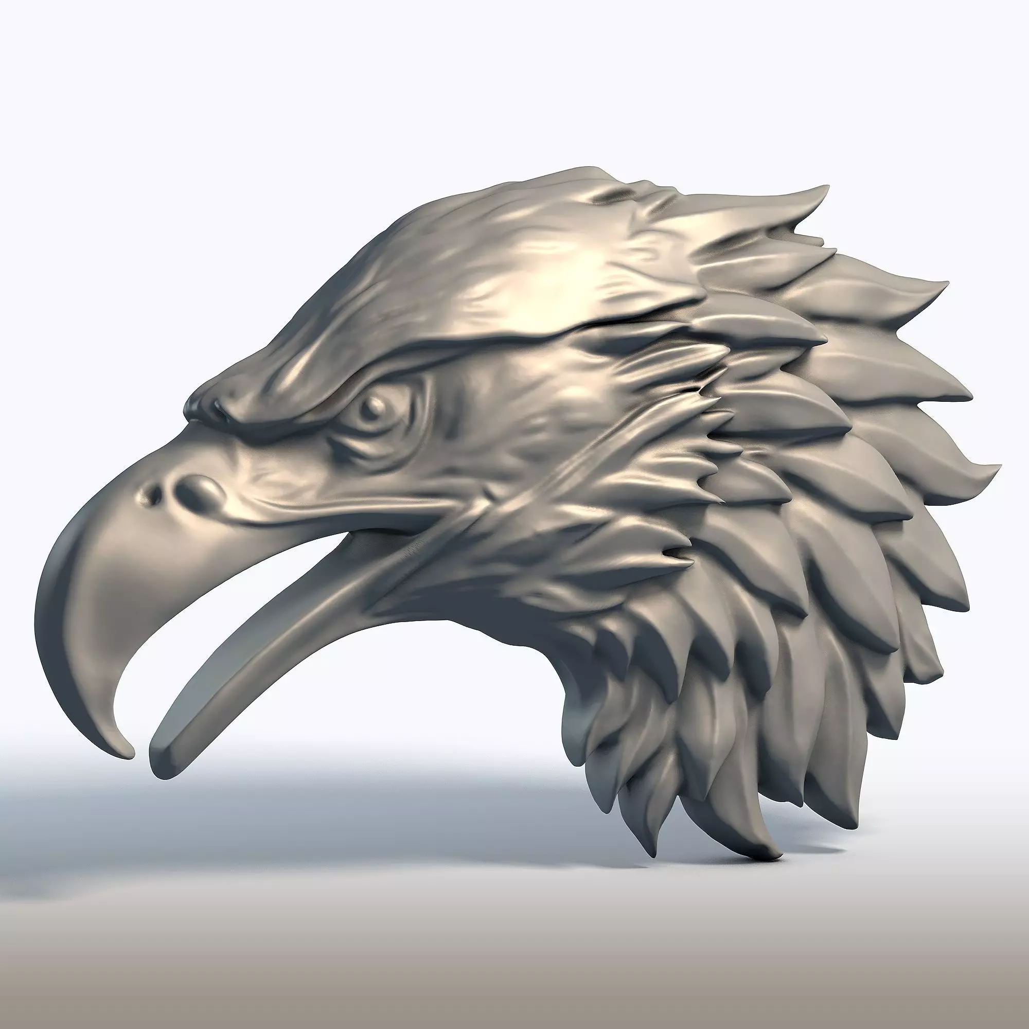 Eagle Head Sculpture Majestic Bird of Prey Bust  3D print model_0