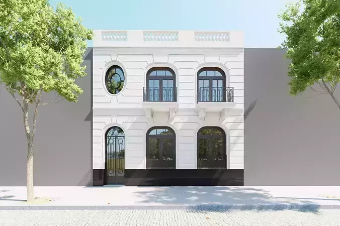 Eclectic style house