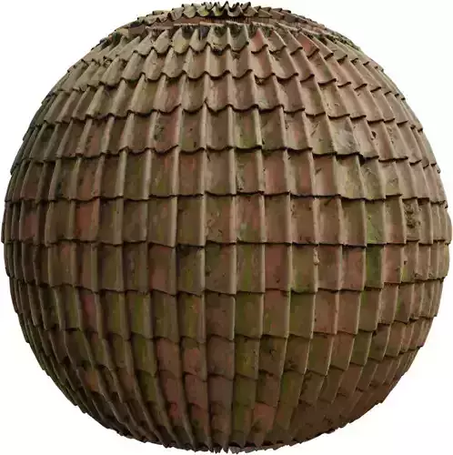 Mossy Clay S Tiles Roof