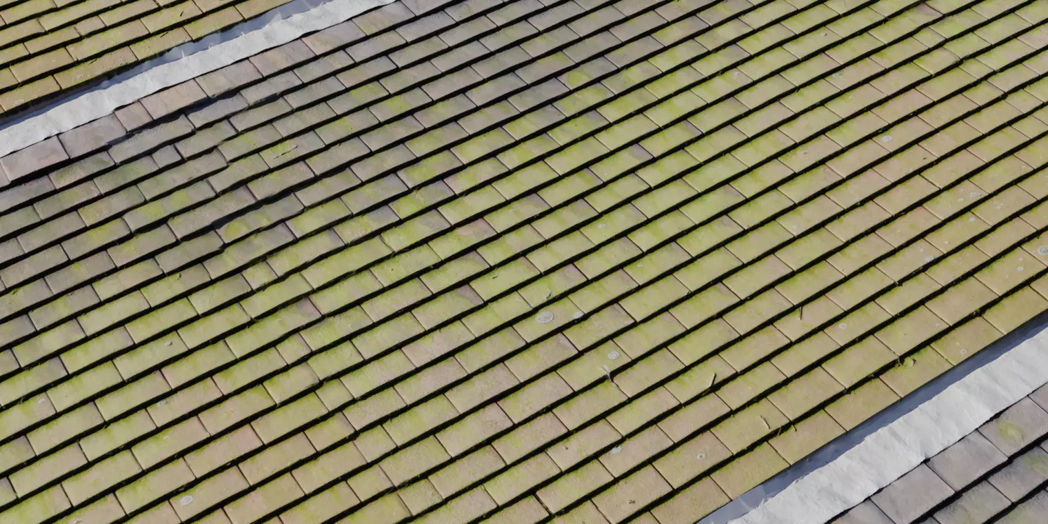 Mossy Clay Shingle Roof Texture_1
