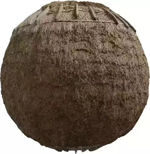 Weathered Thatch Roof 