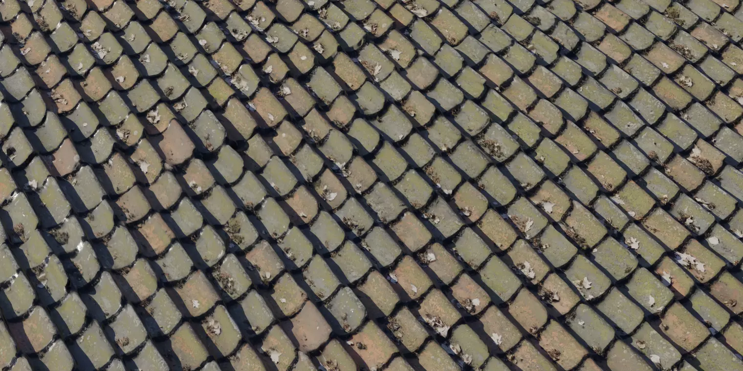 Leaf Littered Clay Pan Roof  Texture_1
