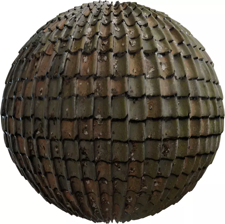 Leaf Littered Clay Pan Roof  Texture_0