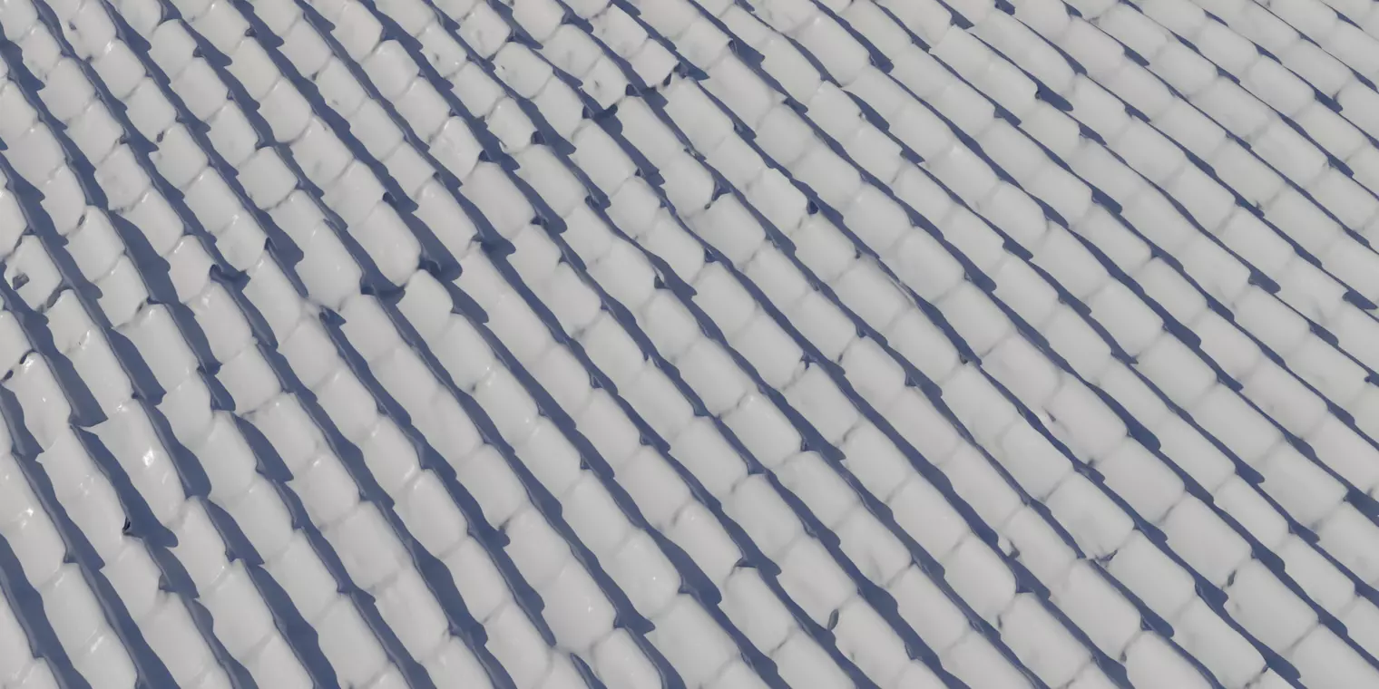Leaf Littered Clay Pan Roof  Texture_2