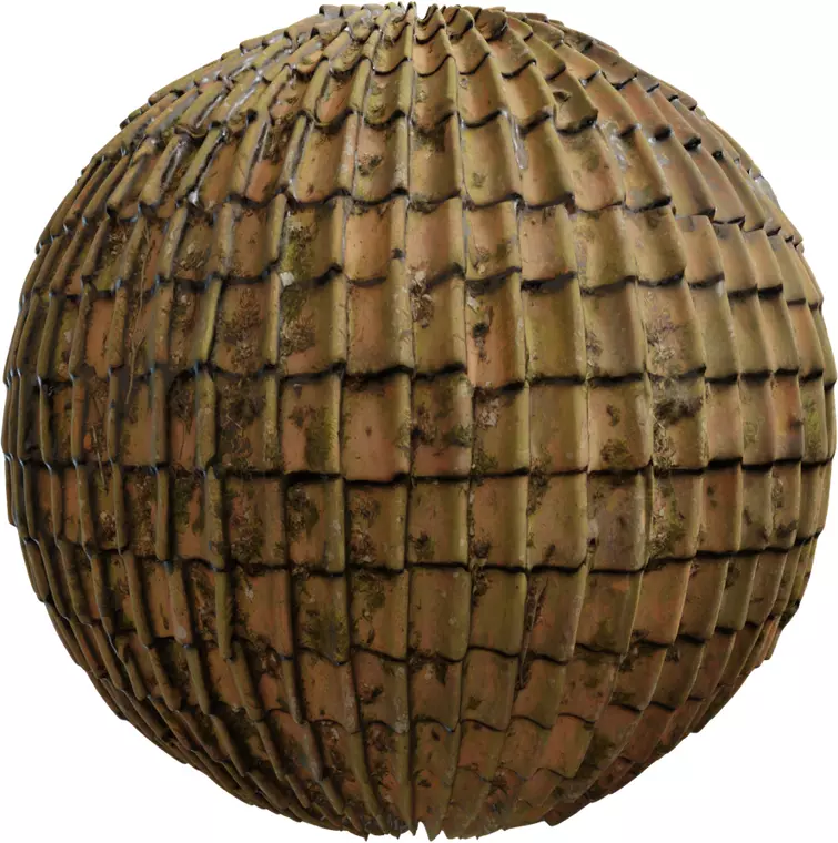 Moss Spotted Clay Pan Roof Texture_0