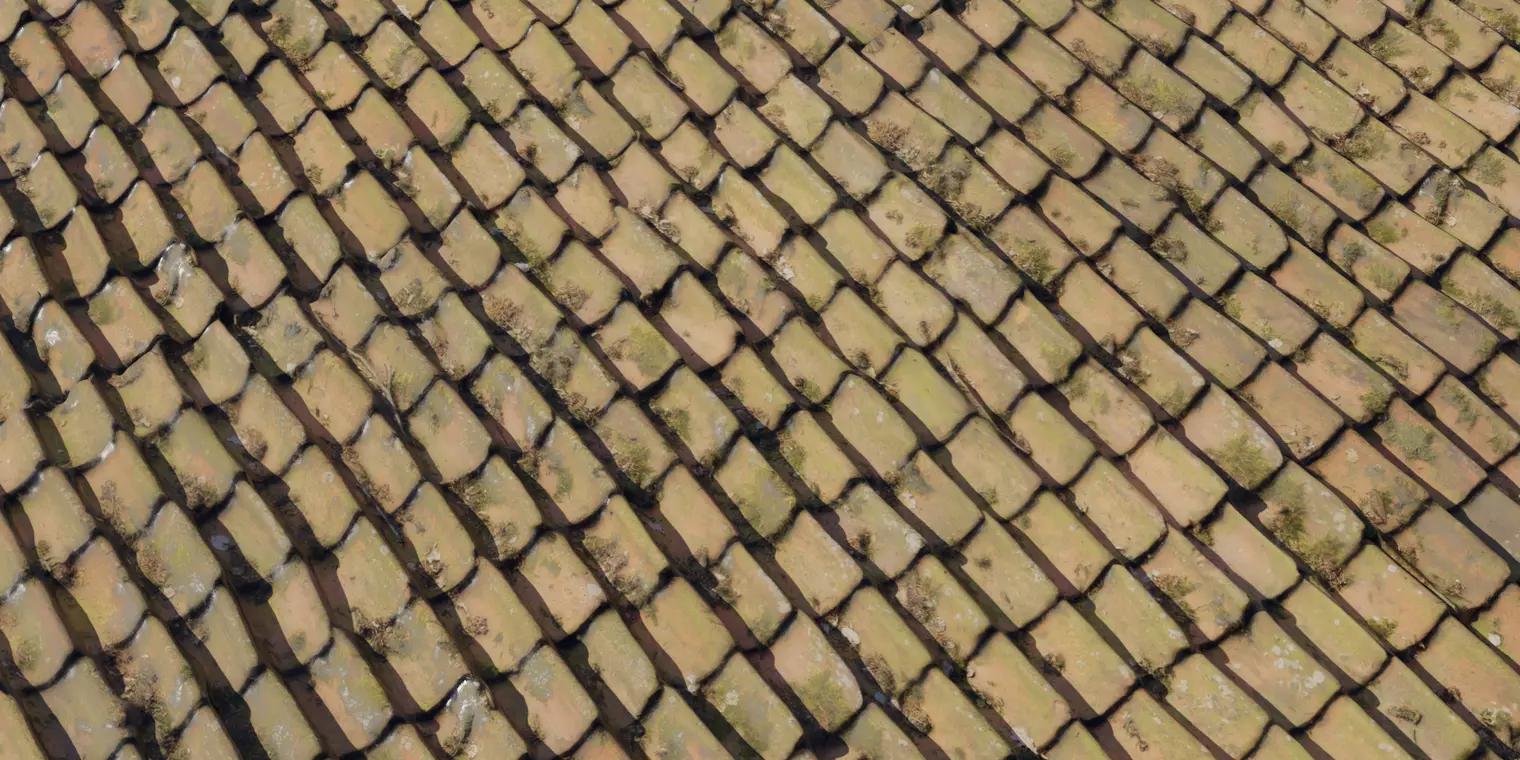 Moss Spotted Clay Pan Roof Texture_1