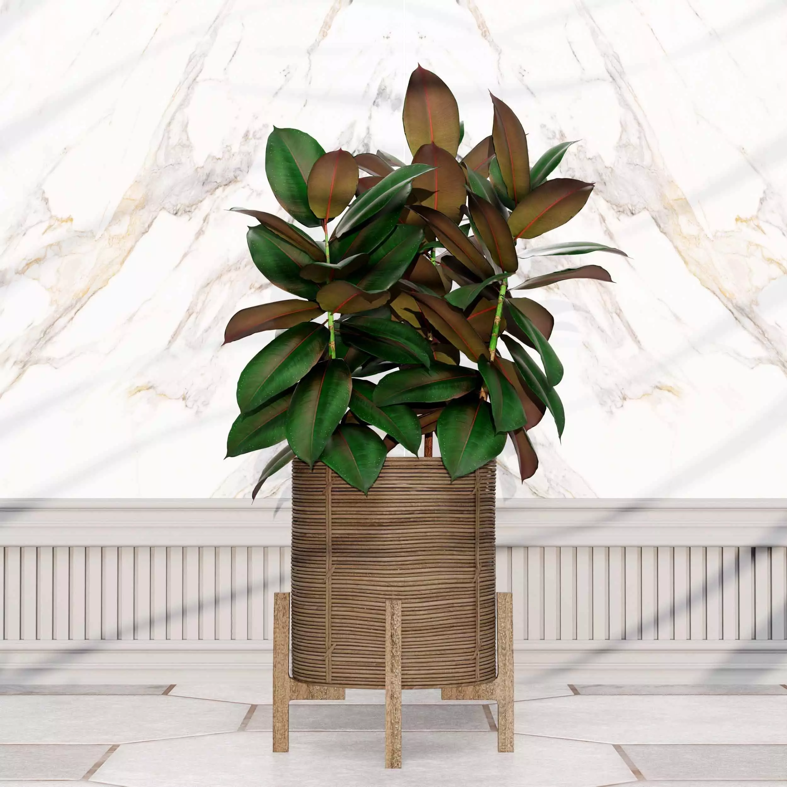 indoor plant collection 01 3D model_4