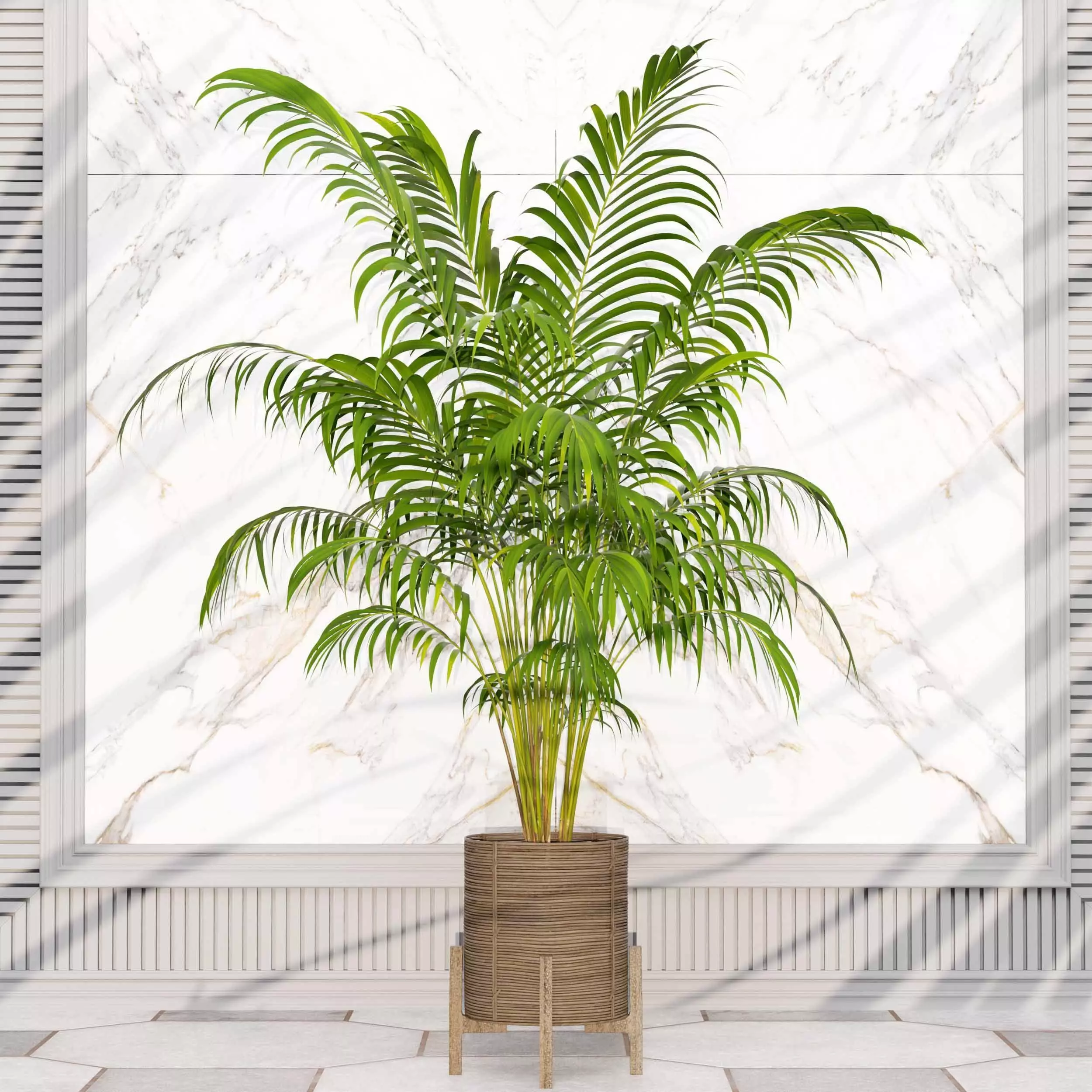 indoor plant collection 01 3D model_1