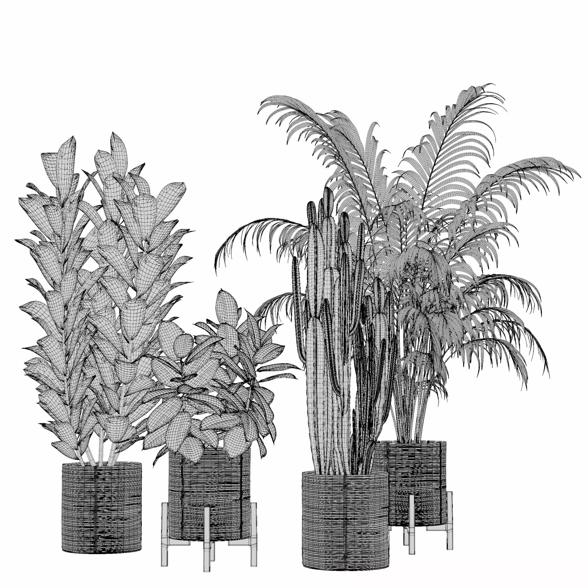 indoor plant collection 01 3D model_5
