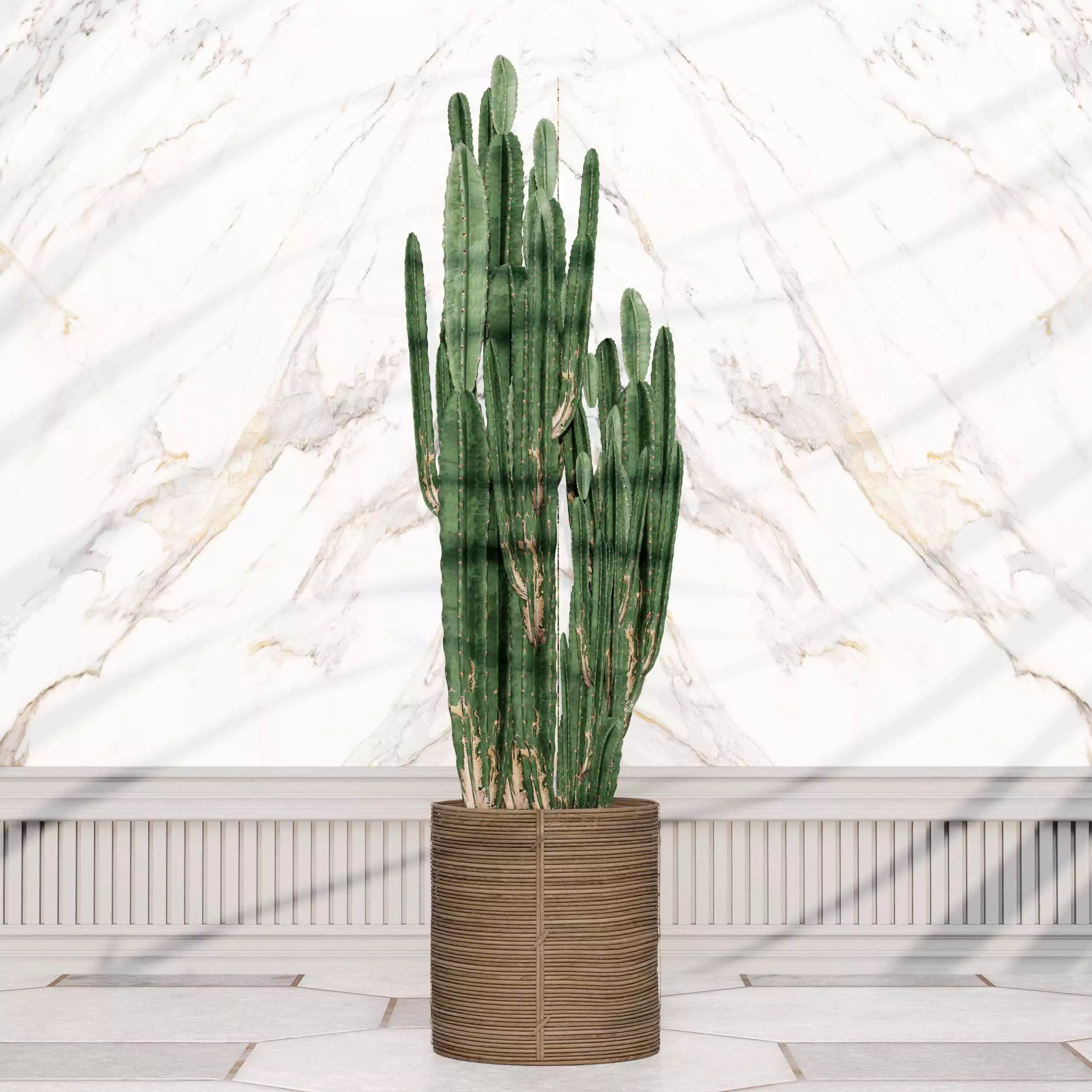 indoor plant collection 01 3D model_2