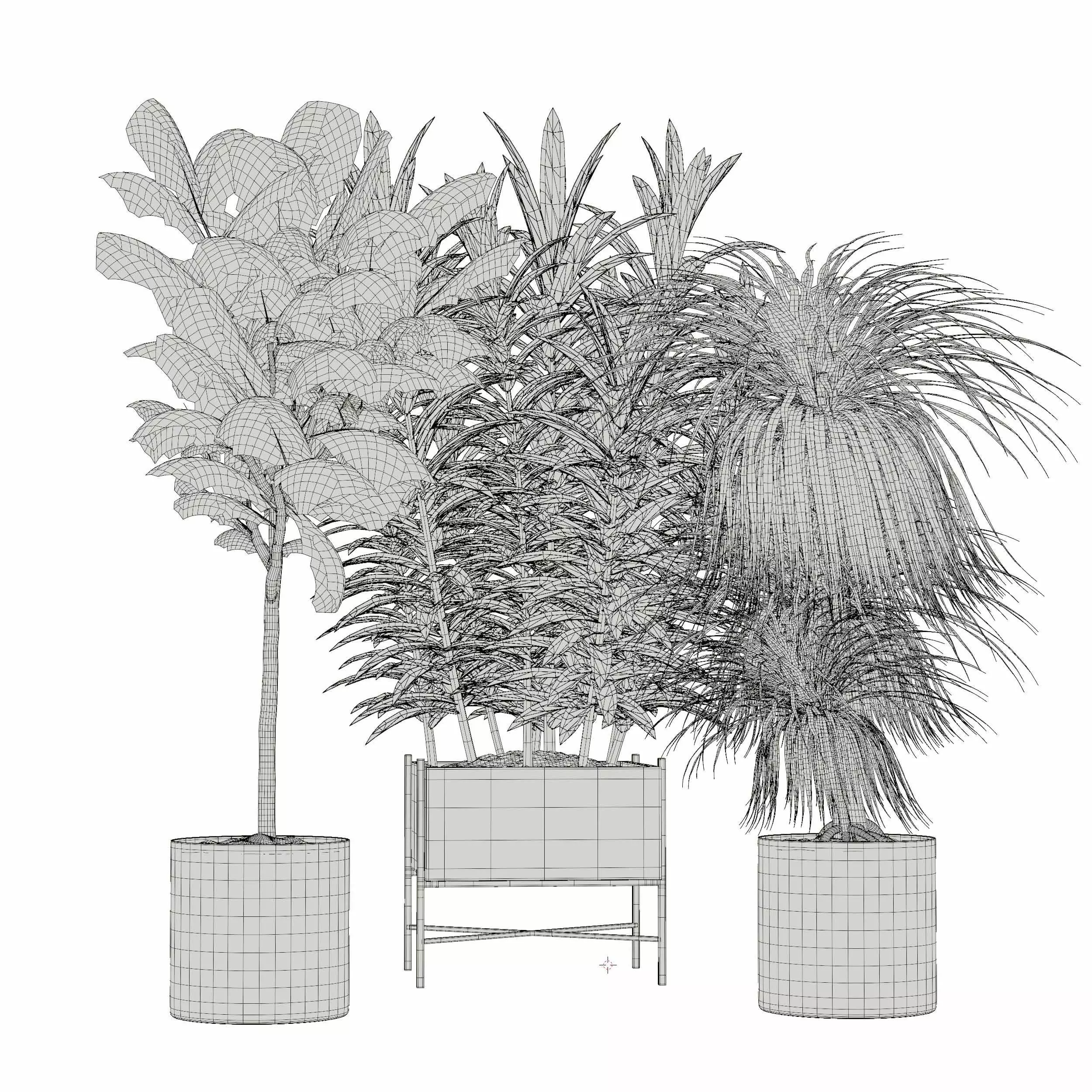 indoor plant collection 02 3D model_4