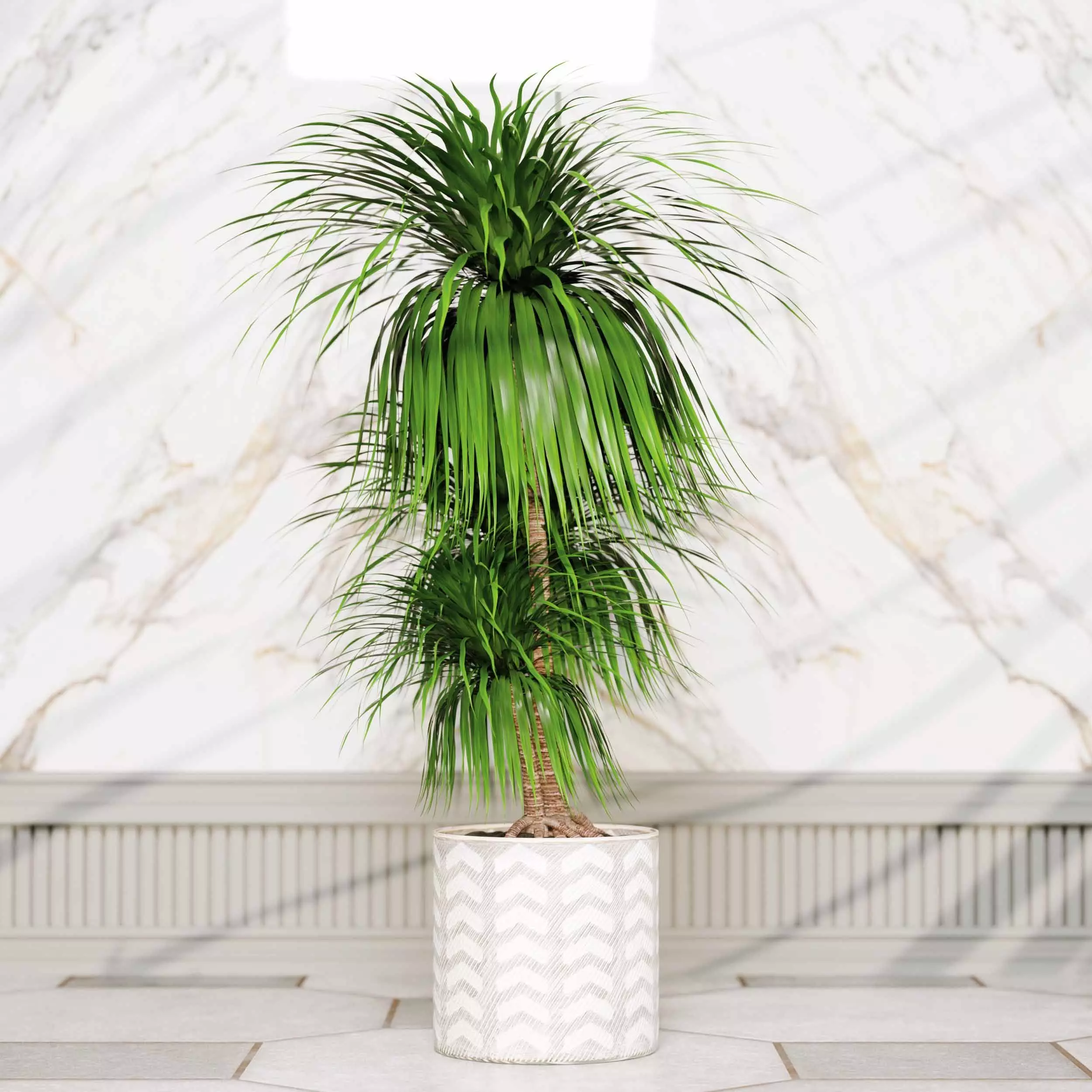 indoor plant collection 02 3D model_1