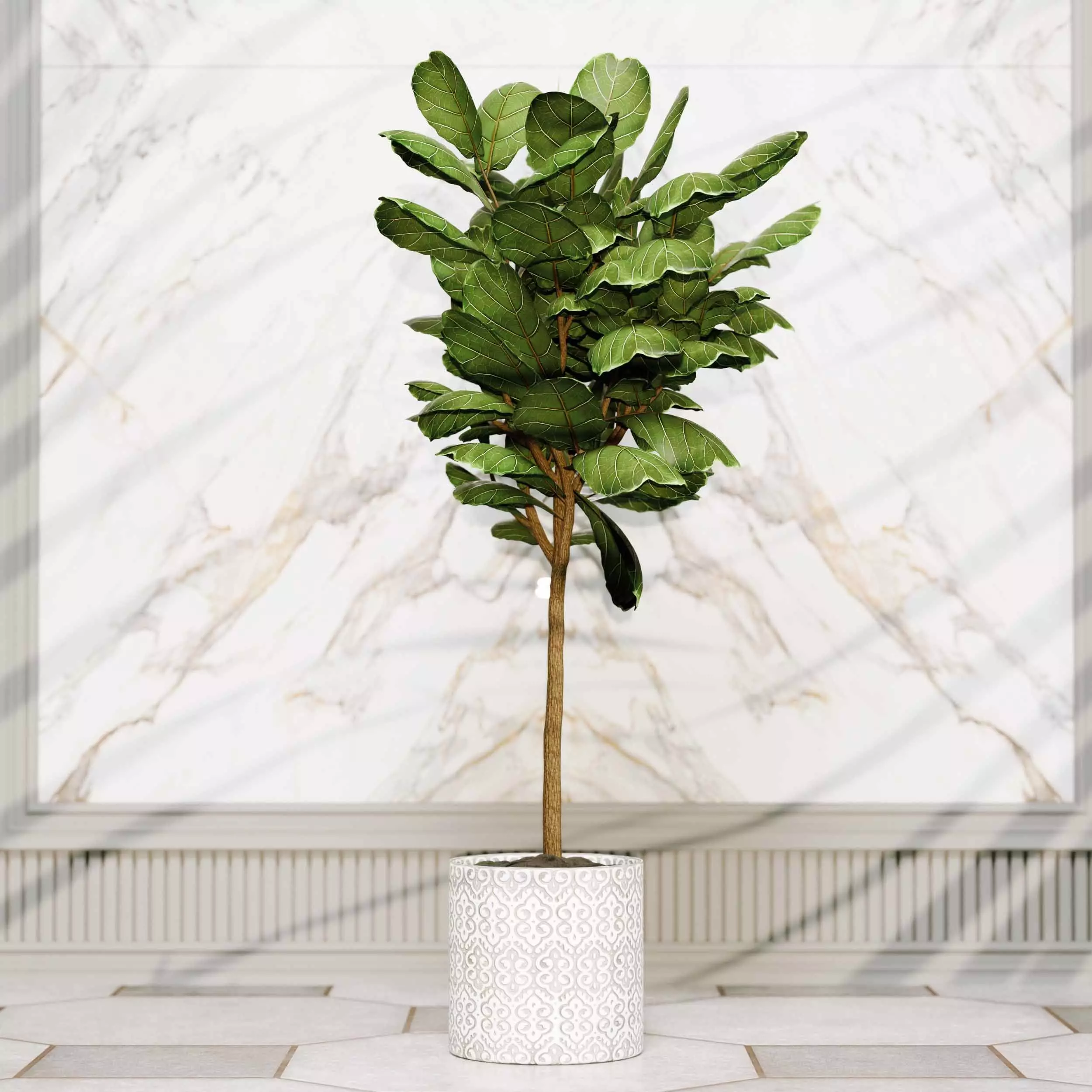indoor plant collection 02 3D model_2