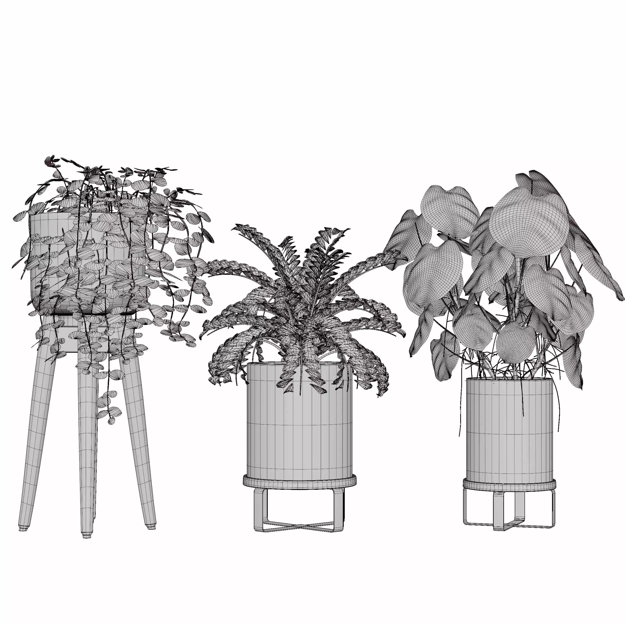 indoor plant collection 05 3D model_4