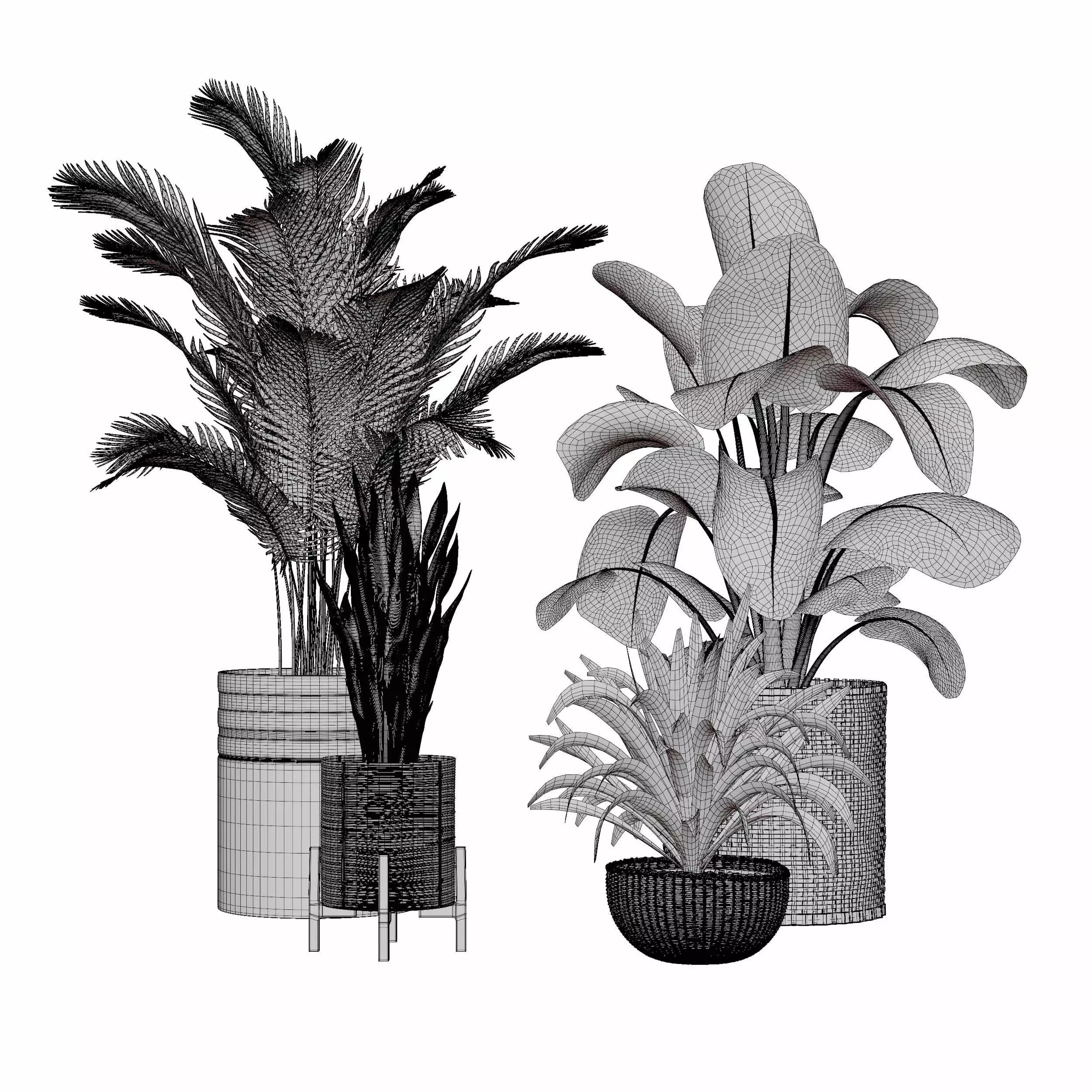 indoor plant collection 06 3D model_6