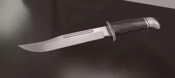 Buck 120 hunt knife model