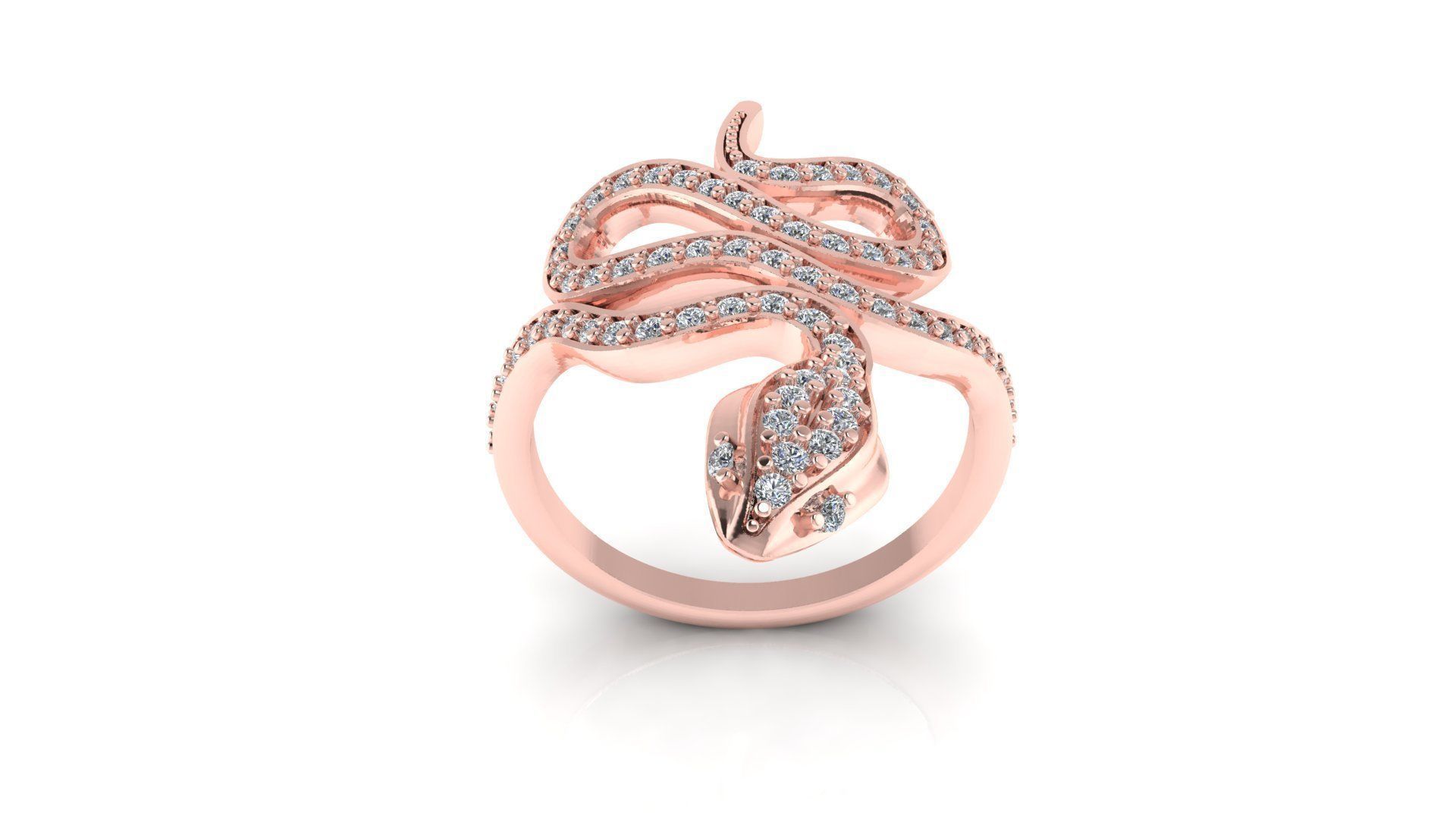 Ring 44 3D print model_1