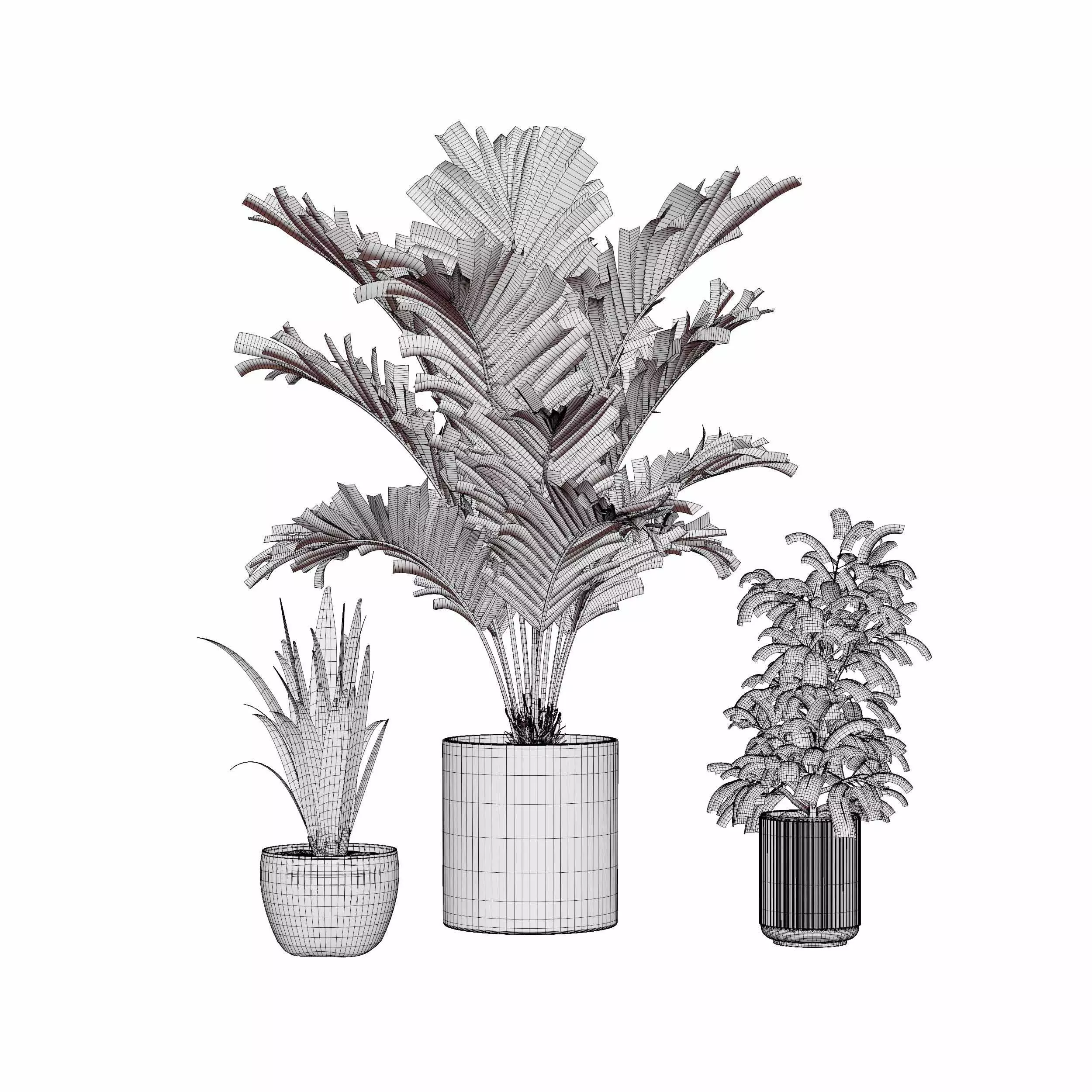 indoor plant collection 09 3D model_5