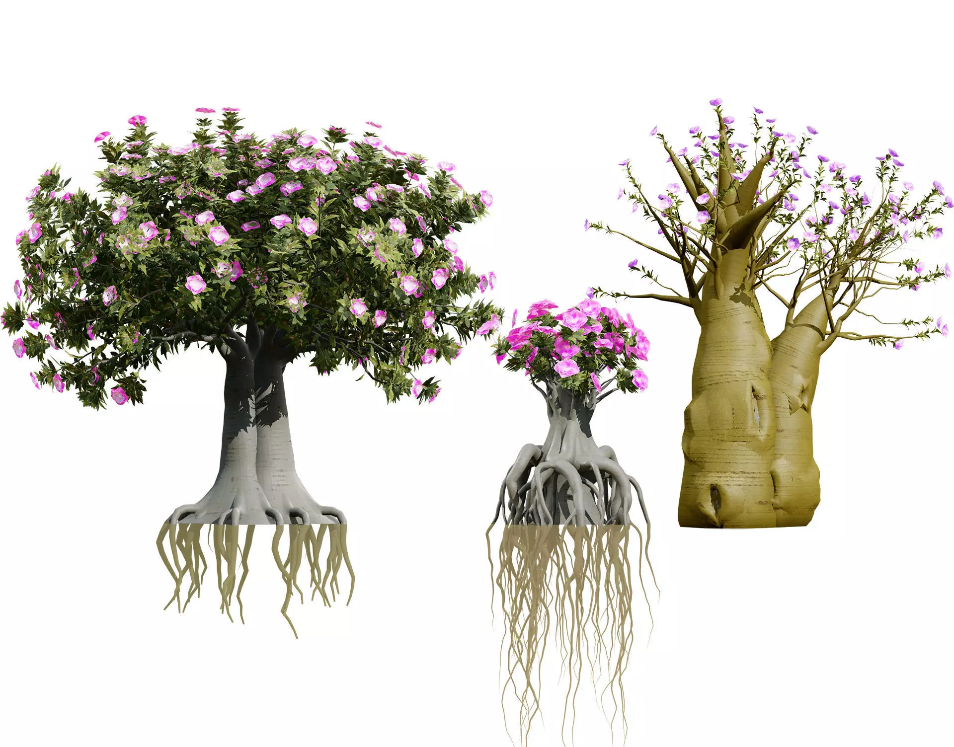Arabian Kudu Trees 3D models Low-poly 3D model