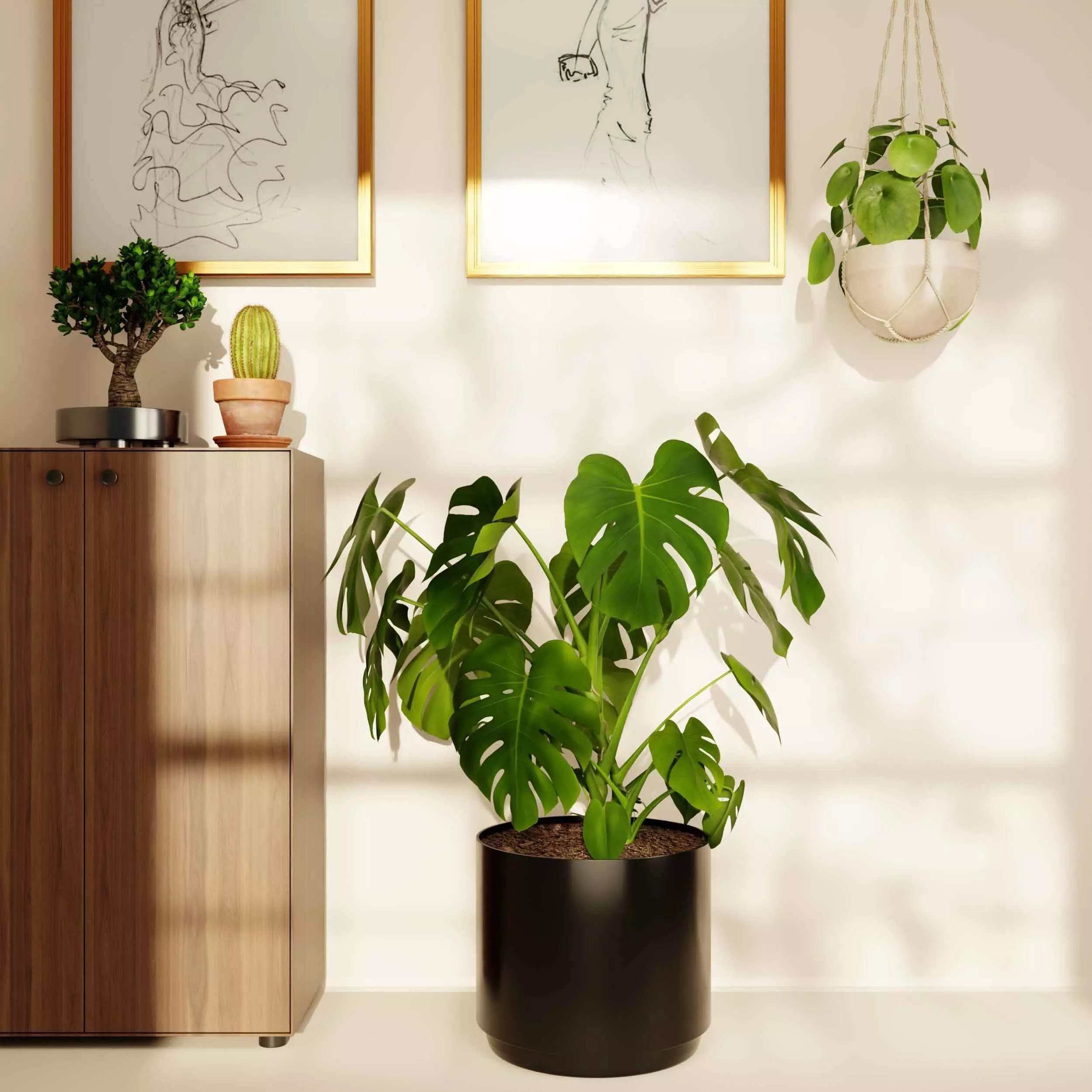 indoor plant collection 11 3D model_0