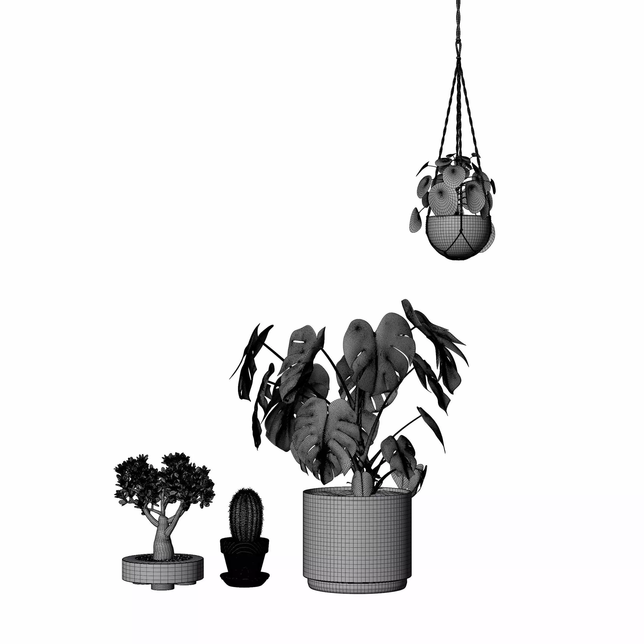 indoor plant collection 11 3D model_7