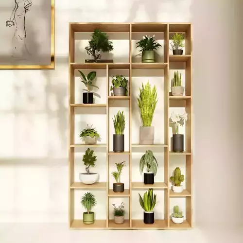 plants collection with shelve