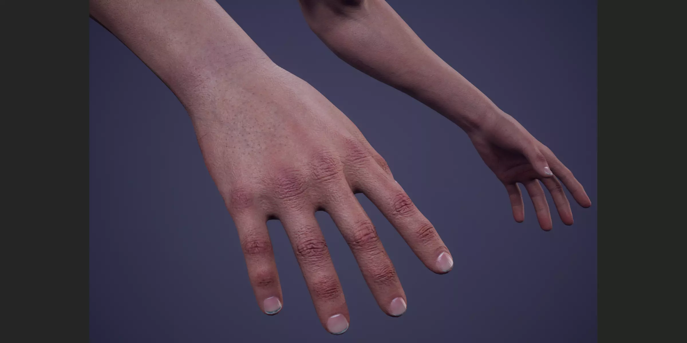 FPS First Person Arms 01 Rigged Free 3D model_3